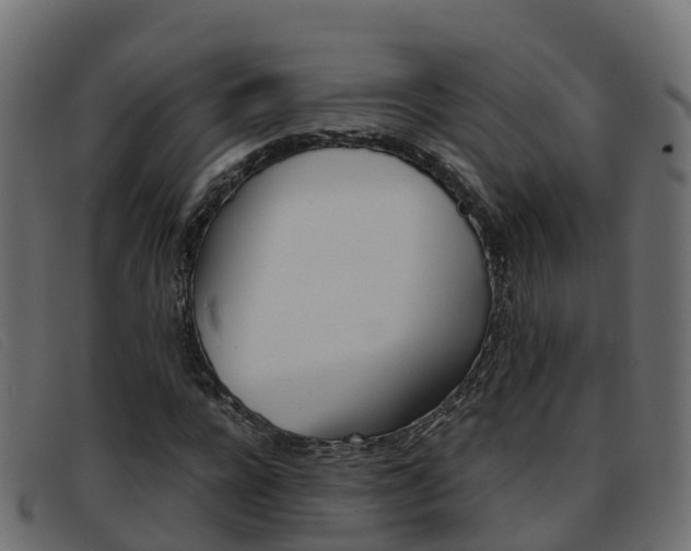 X0000093370920200710111324