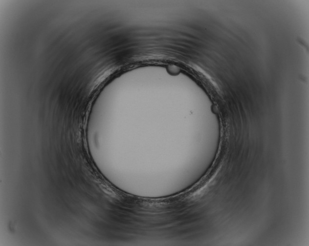 X0000093370921200710111324