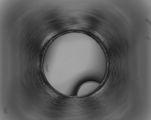 X0000093370922200710111324