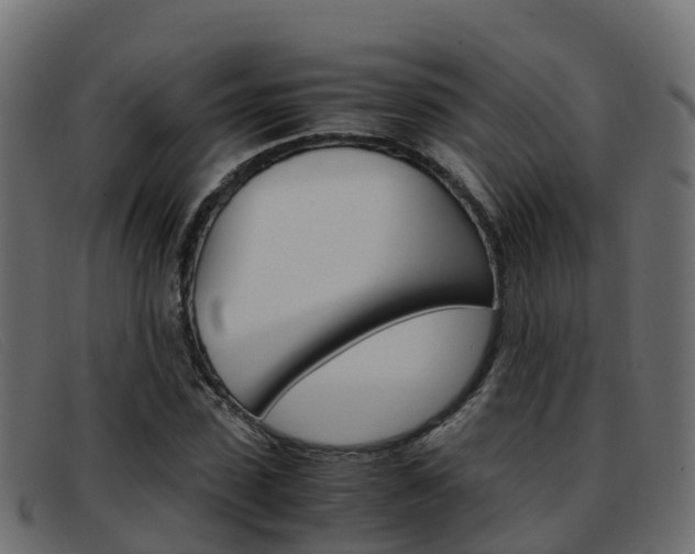 X0000093370923200710111324