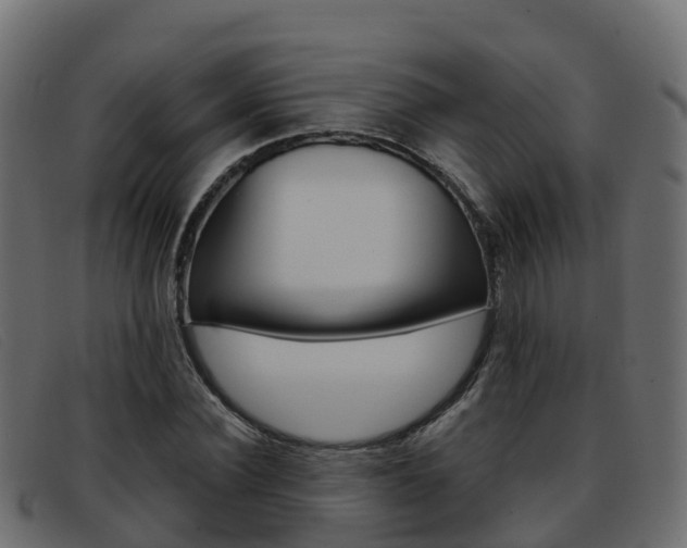 X0000093370924200710111324