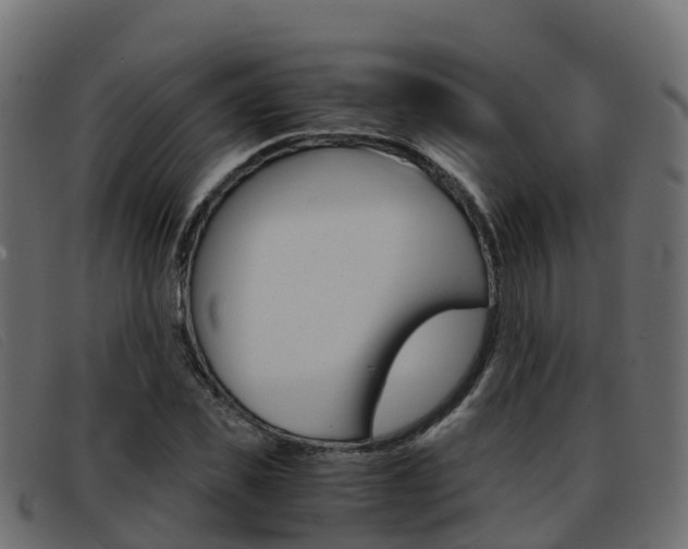X0000093370925200710111324