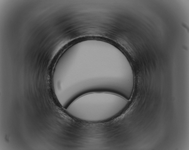 X0000093370926200710111324