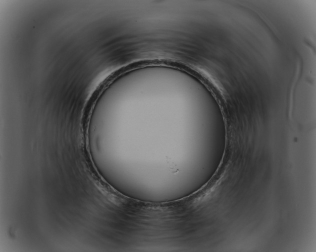X0000093370927200710111324