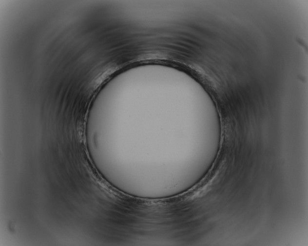 X0000093370929200710111324