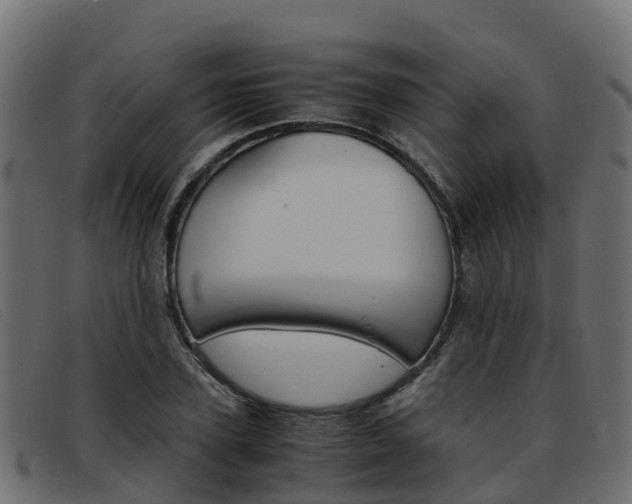 X0000093370931200710111324
