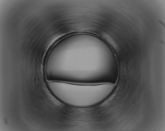 X0000093370932200710111324