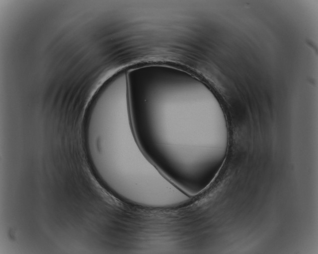 X0000093370934200710111324