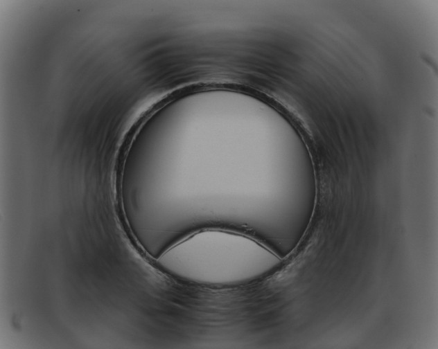 X0000093370935200710111324