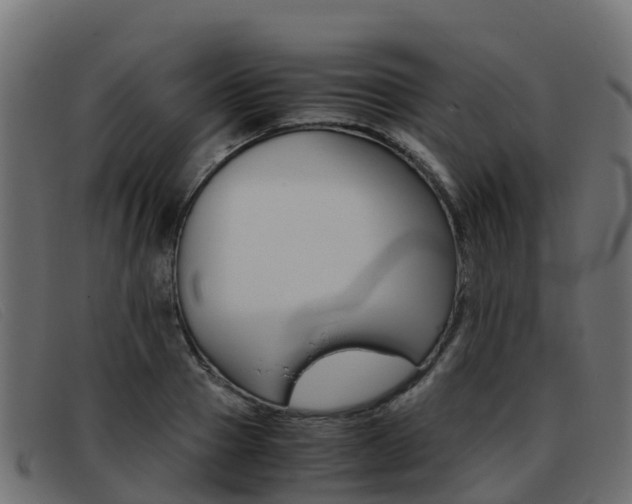 X0000093370937200710111324