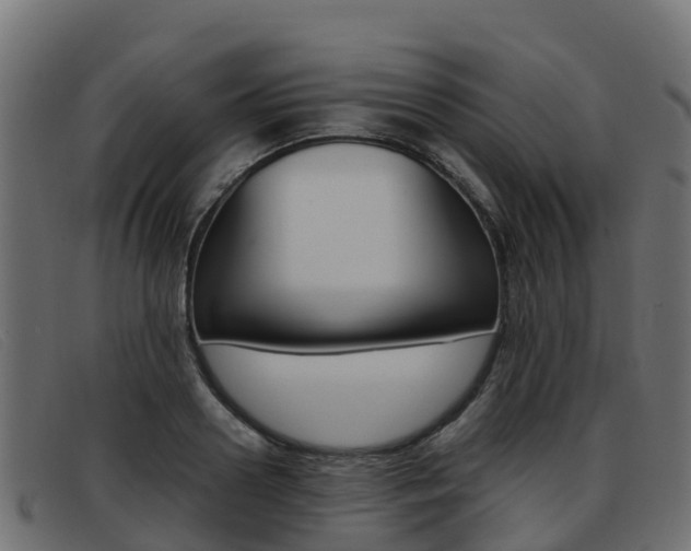 X0000093370938200710111324