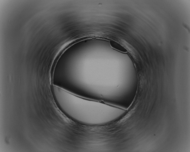 X0000093370940200710111324