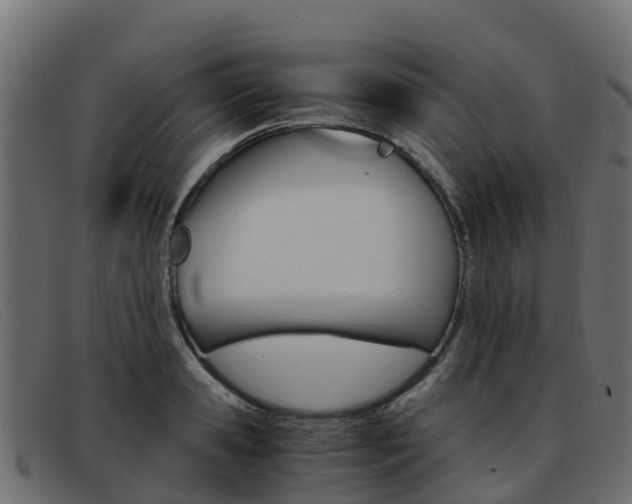 X0000093370941200710111324