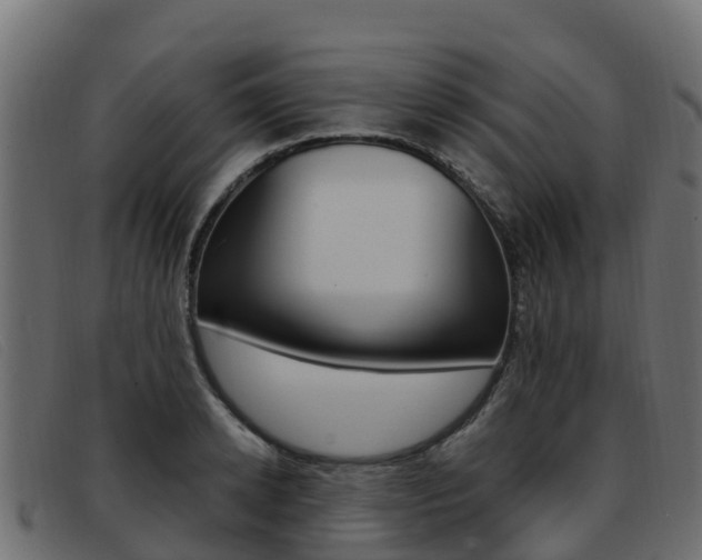 X0000093370942200710111324