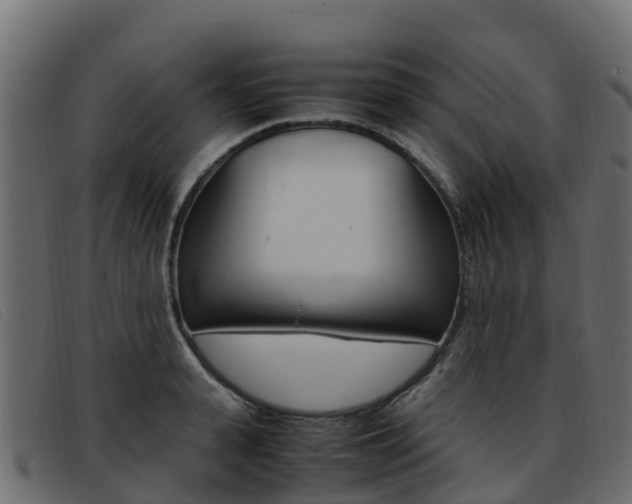 X0000093370943200710111324