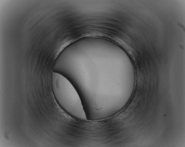 X0000093370945200710111324