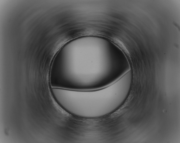 X0000093370946200710111324