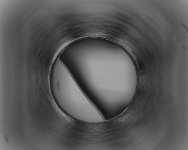 X0000093370947200710111324