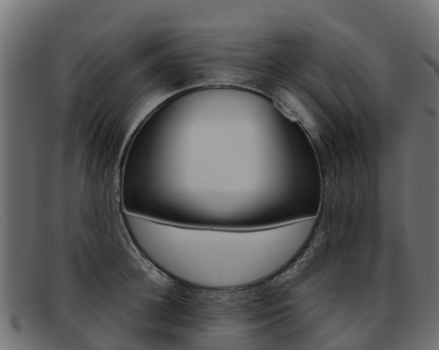 X0000093370948200710111324