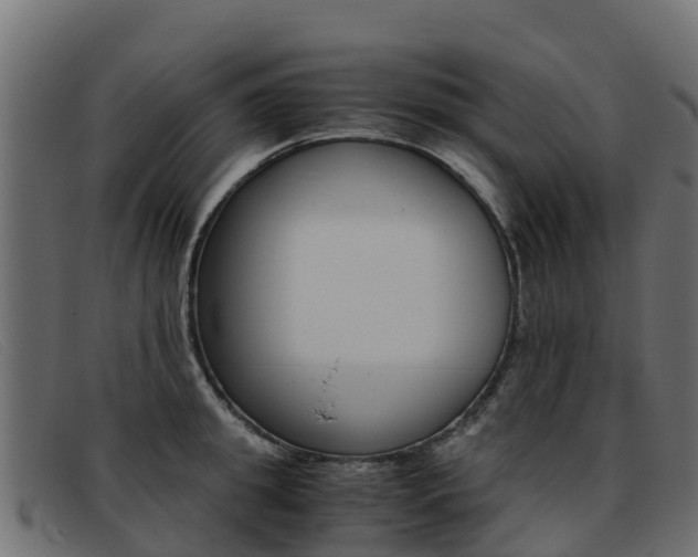 X0000093370949200710111324