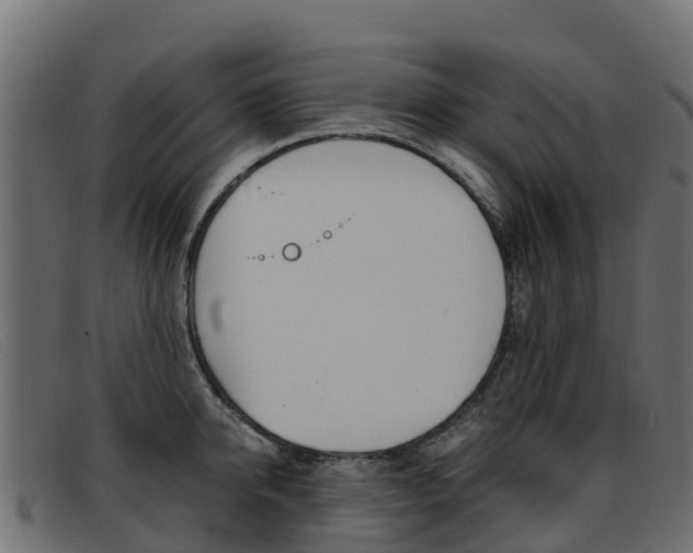 X0000093370950200710111324