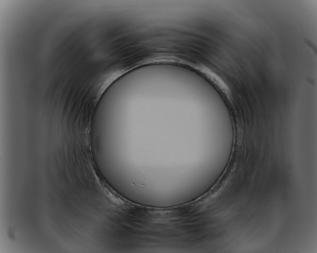 X0000093370953200710111324