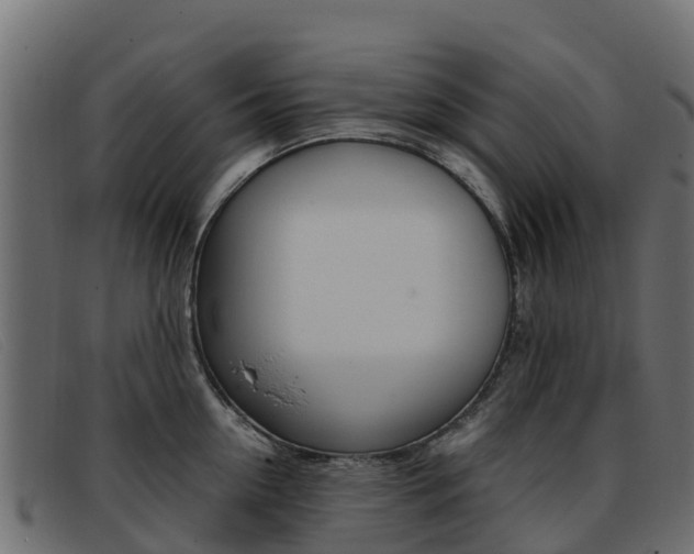 X0000093370954200710111324