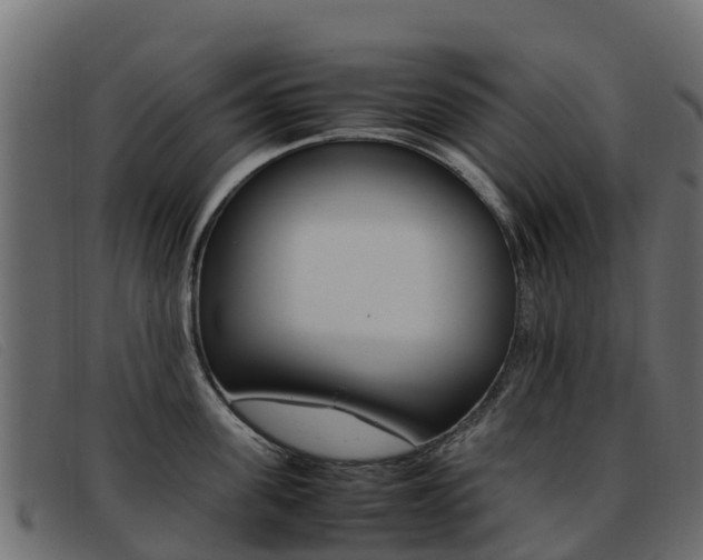 X0000093370955200710111324