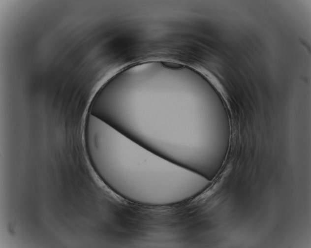 X0000093370957200710111324