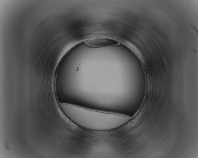 X0000093370958200710111324