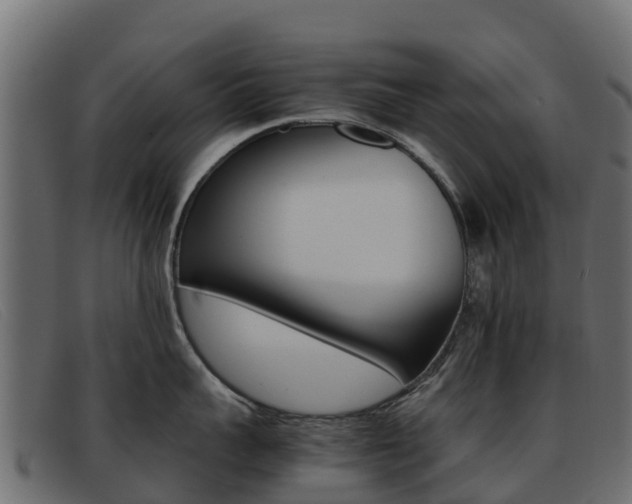 X0000093370959200710111324