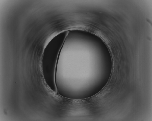 X0000093370960200710111324