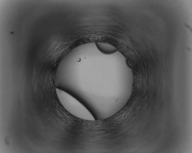 X0000093370962200710111324