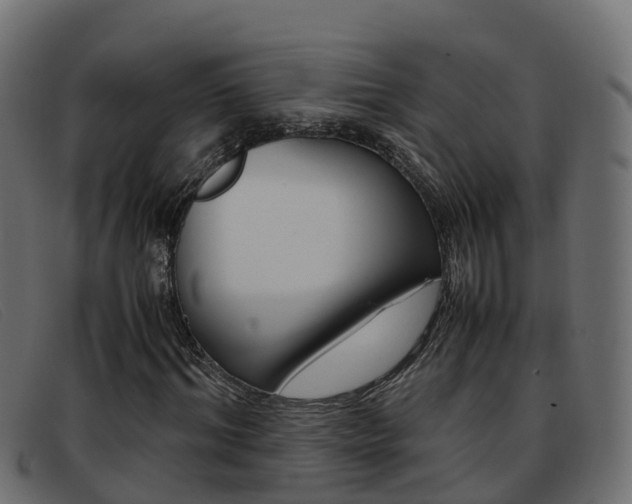 X0000093370964200710111324