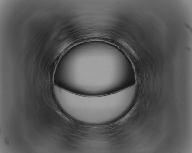 X0000093370969200710111324