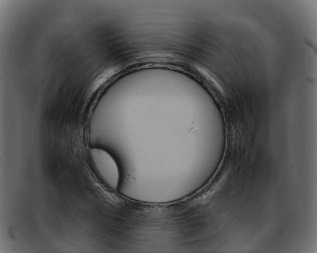 X0000093370970200710111324