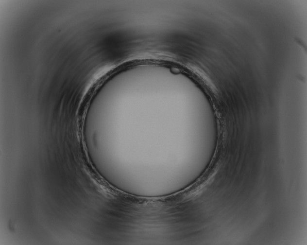 X0000093370974200710111323