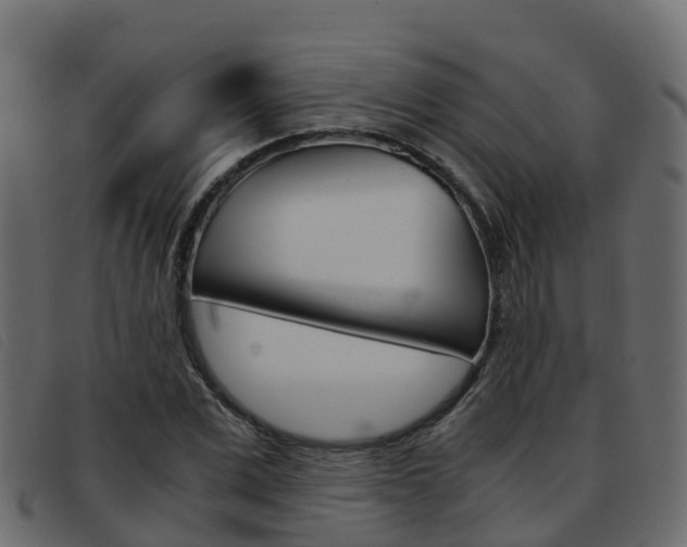 X0000093370975200710111323