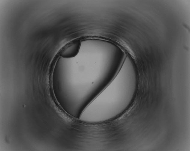 X0000093370976200710111323