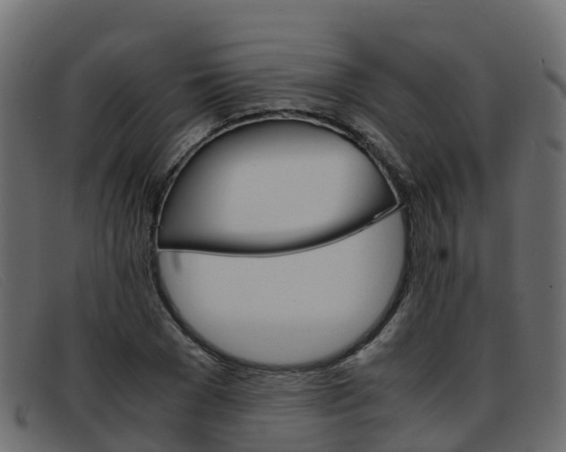 X0000093370977200710111323