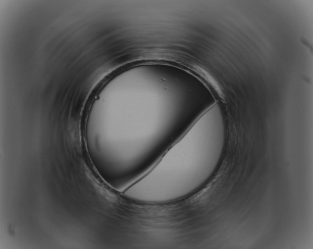 X0000093370980200710111323
