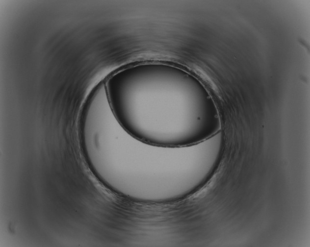 X0000093370981200710111323