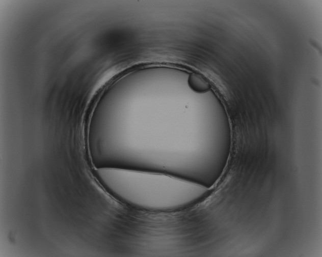 X0000093370982200710111323