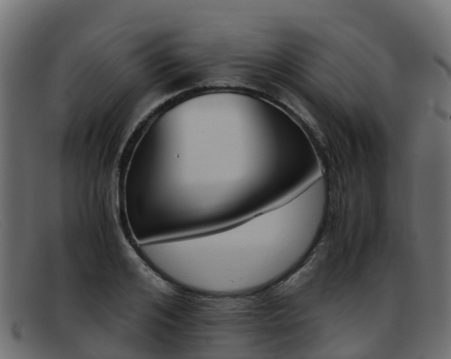 X0000093370984200710111323