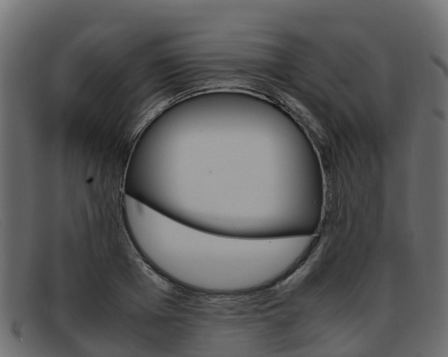 X0000093370985200710111323