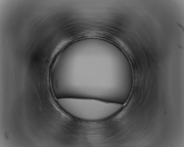 X0000093370986200710111323