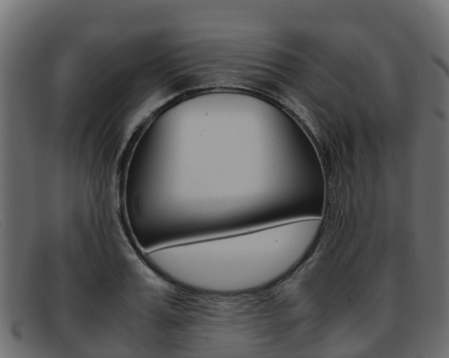X0000093370987200710111323