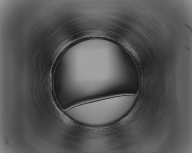 X0000093370988200710111323