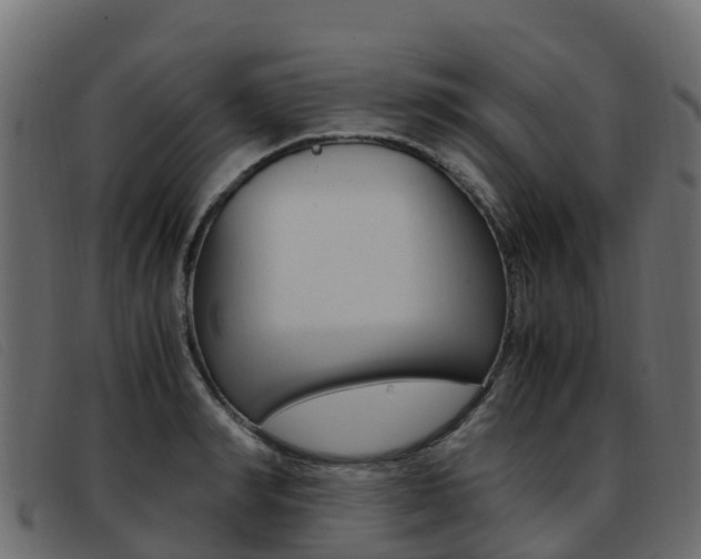 X0000093370990200710111323