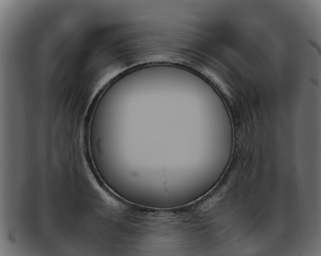 X0000093370991200710111323